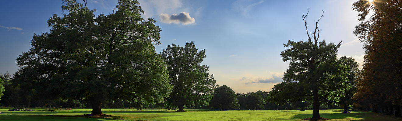 Panství Bechyně s.r.o. - Homepage